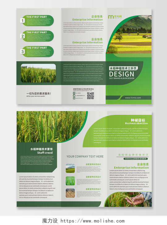 清新绿色环保水稻种植技术宣传环保三折页